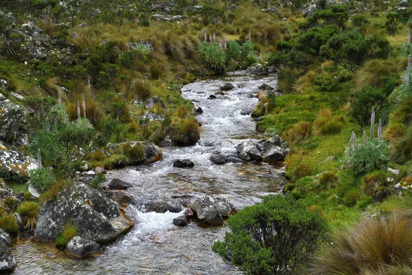 小川のある渓谷の美しい風景 ラグナ69のハイキングコース フアスカラン国立公園 ペルー — ストック写真