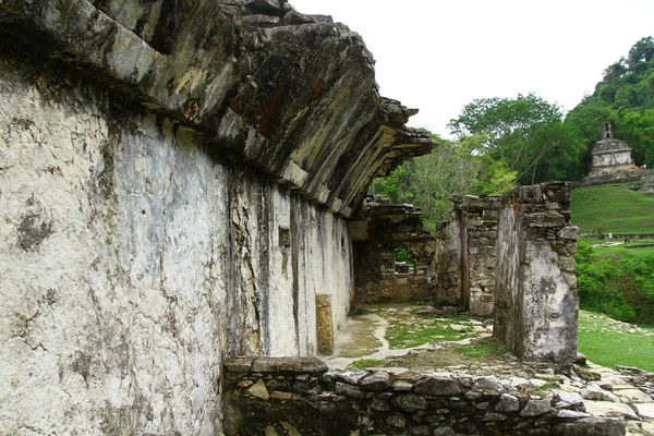 Palenque Mayan Ruins Chiapas Mexico Palenque Antigas Ruínas Maias Chiapas — Fotografia de Stock