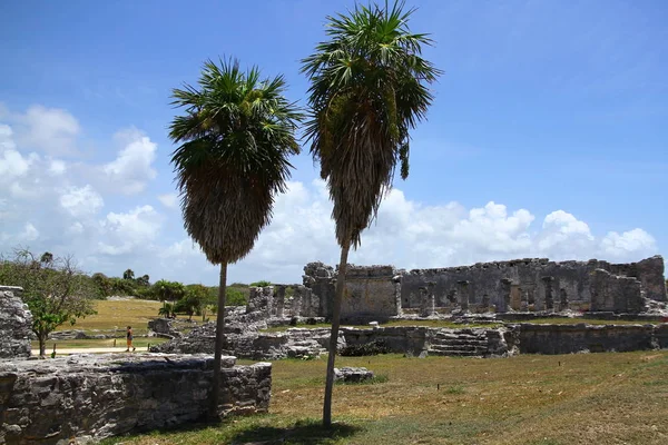 Veduta Delle Rovine Maya Nel Sito Archeologico Tulum Uno Dei — Foto Stock