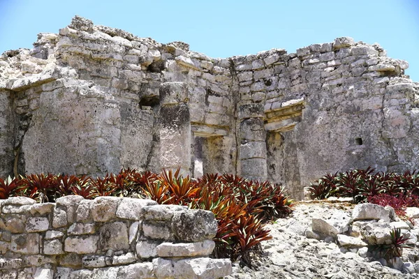 Вид Руїни Майя Археологічному Єкті Тулум Який Одним Найкраще Збережених — стокове фото