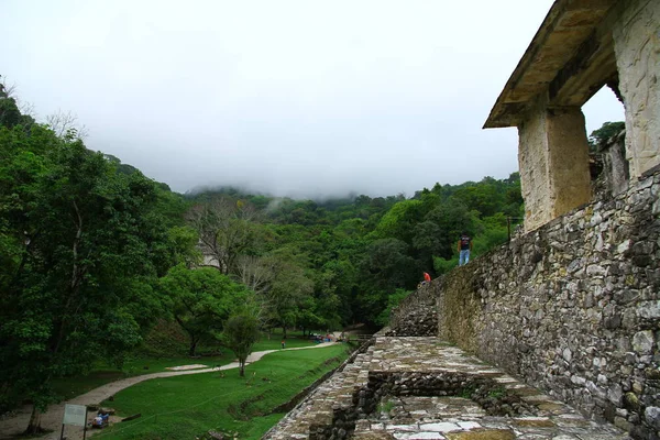 Ruinas Palenque Mayan Chiapas México Junio 2019 Palenque Antiguas Ruinas — Foto de Stock