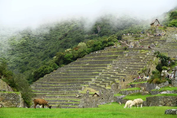 Machu Picchu Ókori Város Urubamba Folyó Völgye Peru Kilátás Machu — Stock Fotó