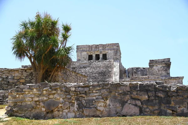 Veduta Delle Rovine Maya Nel Sito Archeologico Tulum Uno Dei — Foto Stock