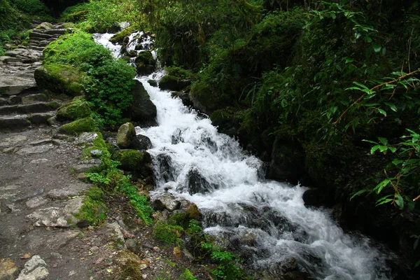 Flowing River Valley Inca Trail Peru — 图库照片