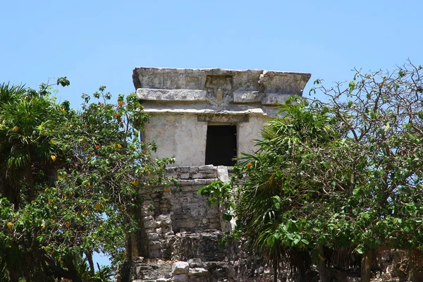 View Maya Ruins Tulum Archaeological Site Which One Best Preserved — Stock Photo, Image