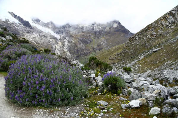 Sendero Laguna Parque Nacional Huascaran Perú —  Fotos de Stock