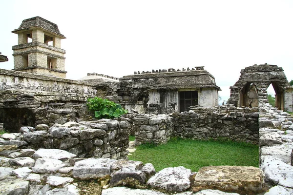 Palenque Mayan Ruins Τσιάπας Μεξικό Palenque Αρχαία Ερείπια Μάγια Στην — Φωτογραφία Αρχείου