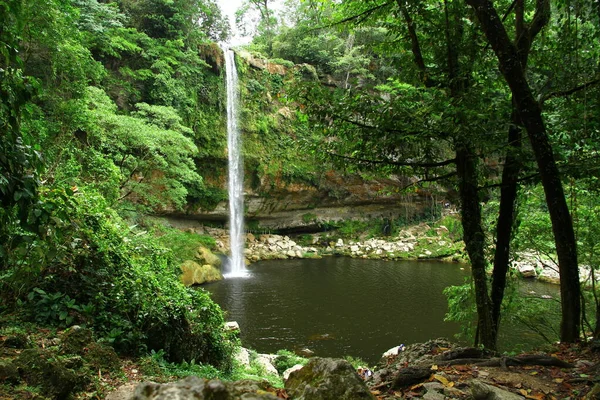 Misol Werfalls Palenque Mexico June 2019 美丽的Misol Ha瀑布景观 瀑布汇成一个35米宽的水池 周围环绕着茂盛的热带植被 — 图库照片