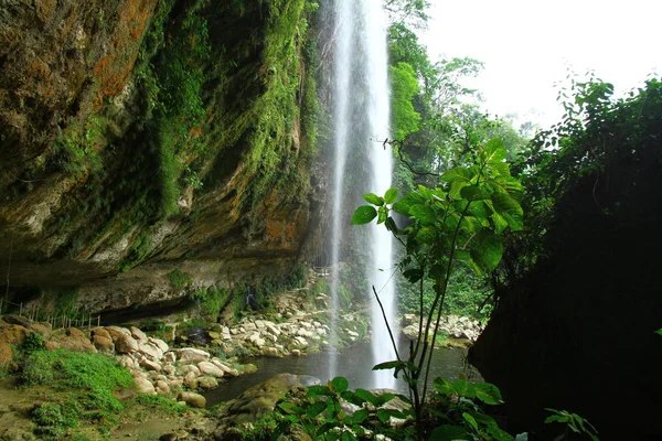 2019年6月3日 メキシコ パレンケ州ミゼル Haの滝 緑豊かな熱帯植物に囲まれた広いプールに約35Mの滝を見ることができます — ストック写真