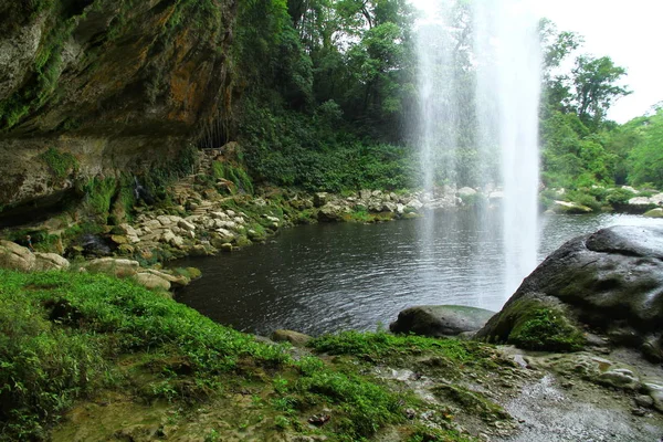 Misol Werfalls Palenque Mexico June 2019 美丽的Misol Ha瀑布景观 瀑布汇成一个35米宽的水池 周围环绕着茂盛的热带植被 — 图库照片