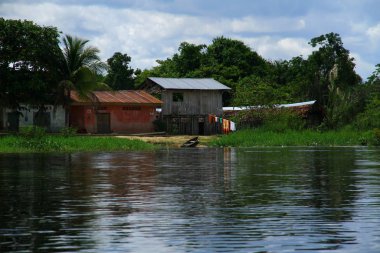 Amazon Nehri, Iquitos, Peru boyunca geleneksel Amazon evleri.