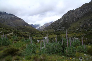 Laguna 69, Huascaran Ulusal Parkı, Peru 'nun yürüyüş parkında deresi olan güzel bir vadi manzarası..