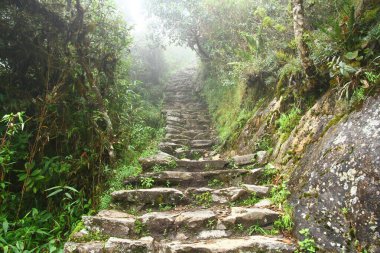 A view of the ancient Inca stairs in Inca Trail under heavy fog, Peru.