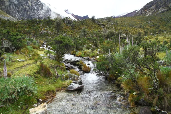 Krásná Krajina Údolí Potokem Turistické Stezce Laguna Huascaran National Park — Stock fotografie