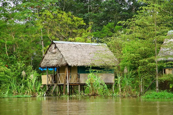Sungai Amazon Iquitos Peru — Stok Foto