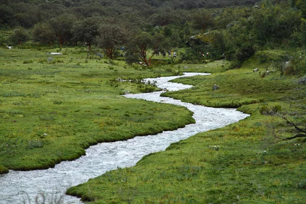 位于秘鲁瓦斯卡兰国家公园拉古纳69号的远足小径上 美丽的山谷风景 有一条小溪 — 图库照片