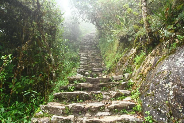 View Ancient Inca Stairs Inca Trail Heavy Fog Peru — Stok fotoğraf