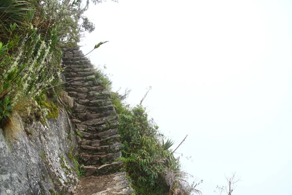 View Ancient Inca Stairs Inca Trail Heavy Fog Peru — Stok fotoğraf