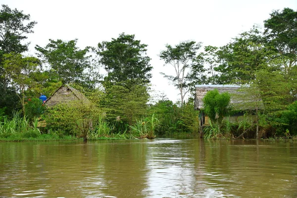 Casele Tradiționale Amazoniene Lungul Râului Amazon Iquitos Peru — Fotografie, imagine de stoc
