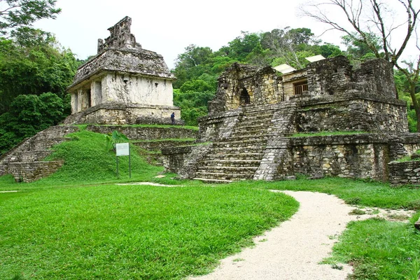 Palenque Mayan Ruins Chiapas Mexico Руїни Стародавнього Майя Чіапасі — стокове фото