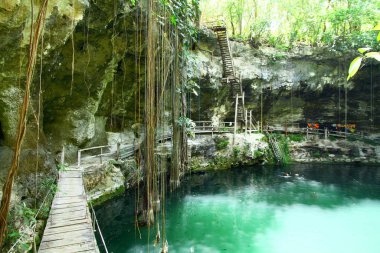Meksika 'daki Yucatan Yarımadası' nın en iyi doğal mezarlarından biri olan X 'Canche Cenote' nin içinden bir görüntü..