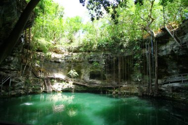 Meksika 'daki Yucatan Yarımadası' nın en iyi doğal mezarlarından biri olan X 'Canche Cenote' nin içinden bir görüntü..