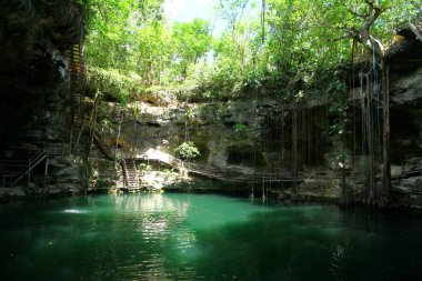 Meksika 'daki Yucatan Yarımadası' nın en iyi doğal mezarlarından biri olan X 'Canche Cenote' nin içinden bir görüntü..