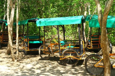  Tuk-tuk 'lar çoğunlukla Peru' daki turistik yerlerde bulunan küçük mototeksenlerdir. Ucuzdur ve kısa yolculuklar için iyidir..