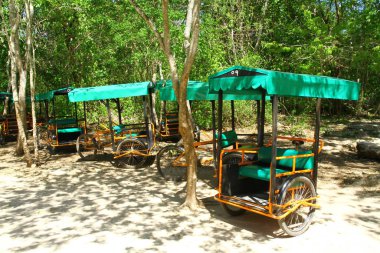  Tuk-tuk 'lar çoğunlukla Peru' daki turistik yerlerde bulunan küçük mototeksenlerdir. Ucuzdur ve kısa yolculuklar için iyidir..