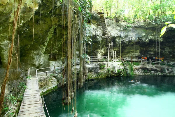 Uma Vista Interior Canche Cenote Que Dos Melhores Cenotes Naturais — Fotografia de Stock