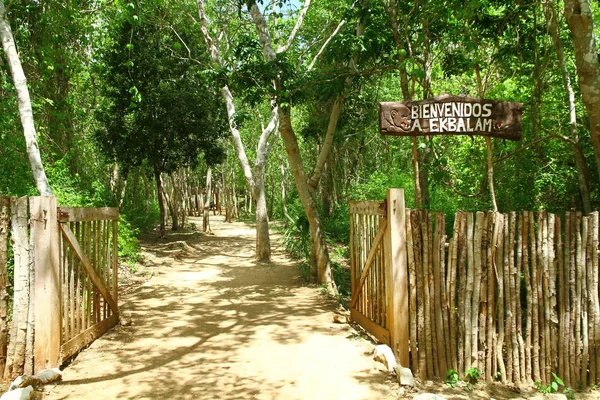 Vista Entrada Las Ruinas Mayas Balam México Bienvenidos Balam Significa — Foto de Stock