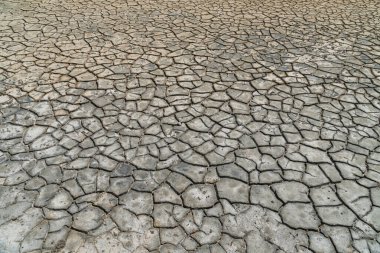 Eski bir tuzlu denizin kuru toprağı - çevre sorunu