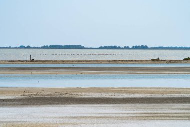 Tuzlu deniz endüstrisinin renkli manzarası