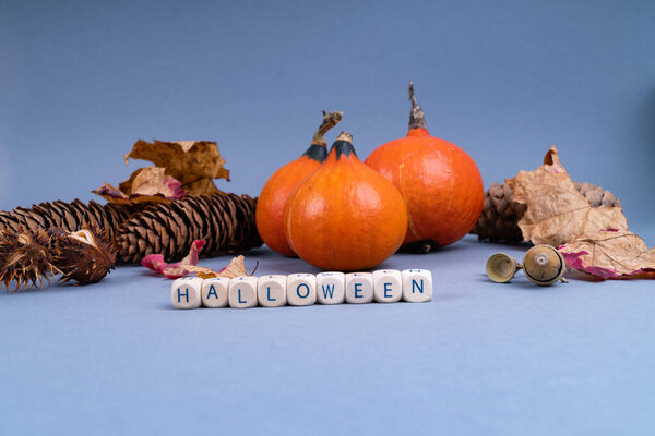 Halloween concept with pumpkin, colorful leaves, fir cones and acorns on gray background with copy space
