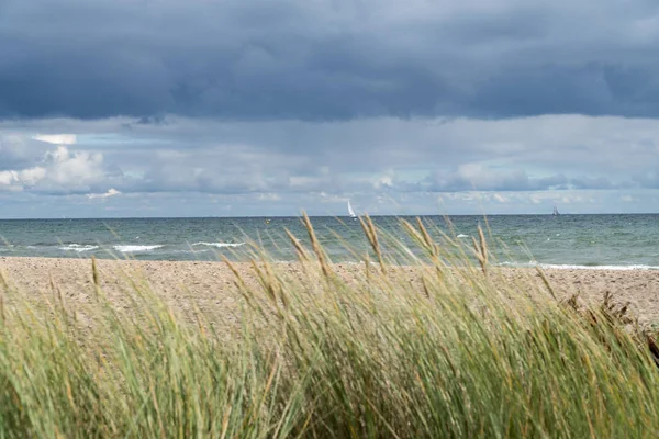 Det baltiska havet, stranden och marram gräs - med fokus på havet — Stockfoto