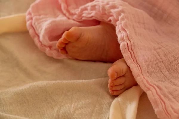 Close up of baby feet of a newborn under pink sheets - newborn concept — Stock Photo, Image