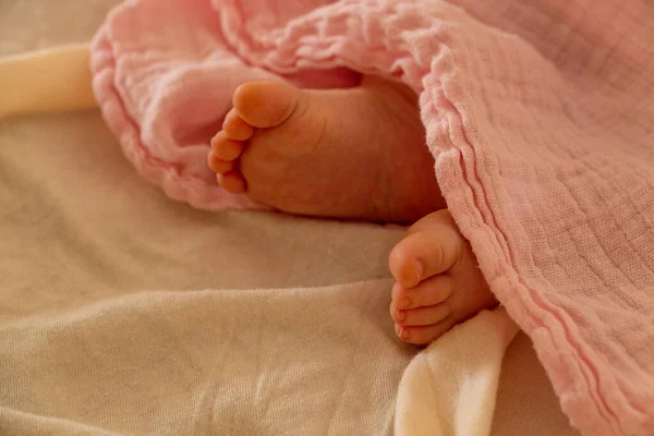 Close up of baby feet of a newborn under pink sheets - newborn concept — Stock Photo, Image