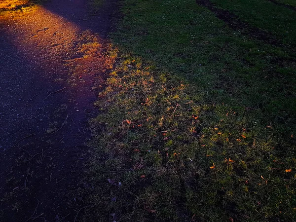 Один луч солнечного света в общественном парке весной — стоковое фото