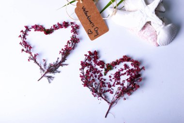 Lüks bir sağlık düzenlemesi üzerinde 