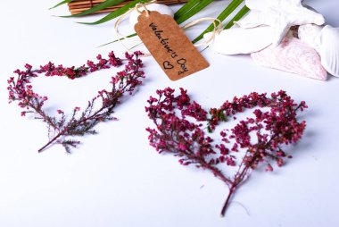 Lüks bir sağlık düzenlemesi üzerinde 