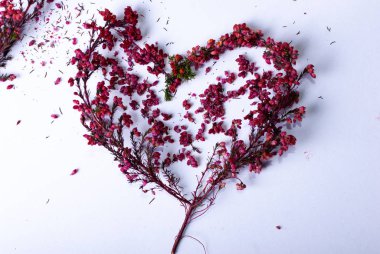 Hediye çeki ya da kupon için renkli kırmızı dallardan yapılmış bir kalp.