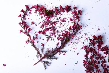 Hediye çeki ya da kupon için renkli kırmızı dallardan yapılmış bir kalp.