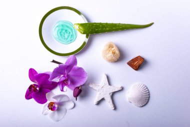 Sağlık malzemeleri, bir mum, taşlar, bir güzellik süngeri, bir deniz yıldızı, havlu, çiçekler, doğal bir sünger, aloe vera izni, aloe vera jeli, ahşap, kabuk.