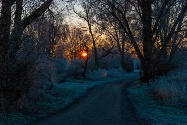 Kışın ilk saatlerinde gün doğumunda bir patika.