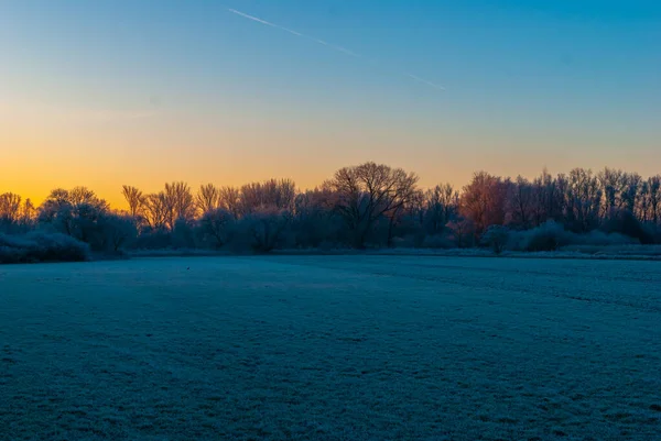 Un champ tôt le matin d'hiver — Photo