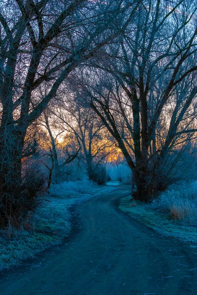 Um caminho no início da manhã de inverno durante o nascer do sol — Fotografia de Stock