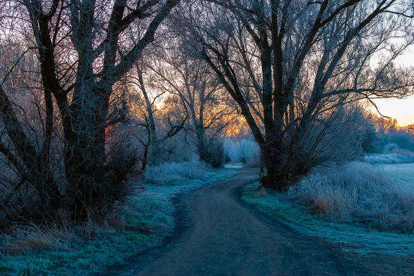 Um caminho no início da manhã de inverno durante o nascer do sol — Fotografia de Stock