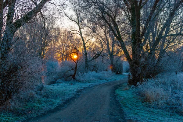 Um caminho no início da manhã de inverno durante o nascer do sol — Fotografia de Stock