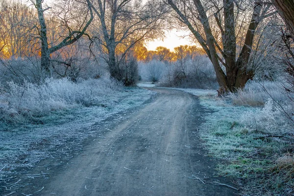 Тропа ранним зимним утром на рассвете — стоковое фото