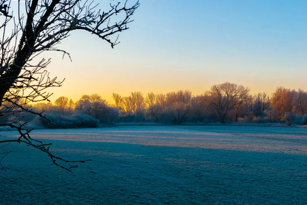 Um campo e o céu colorido no início da manhã de inverno durante o nascer do sol — Fotografia de Stock